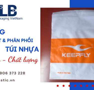 Giới thiệu xưởng sản xuất và phân phối túi nhựa uy tín tại Bình Tân